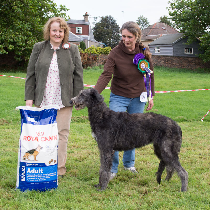 Best Puppies Limited Show 2014